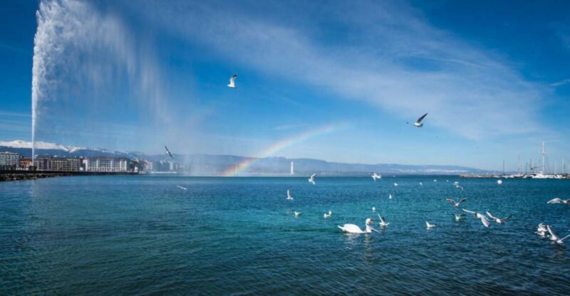 Geneva: Scenic Lake Cruise with Snacks and Wine - Detailed Review of the Geneva Scenic Lake Cruise with Snacks and Wine