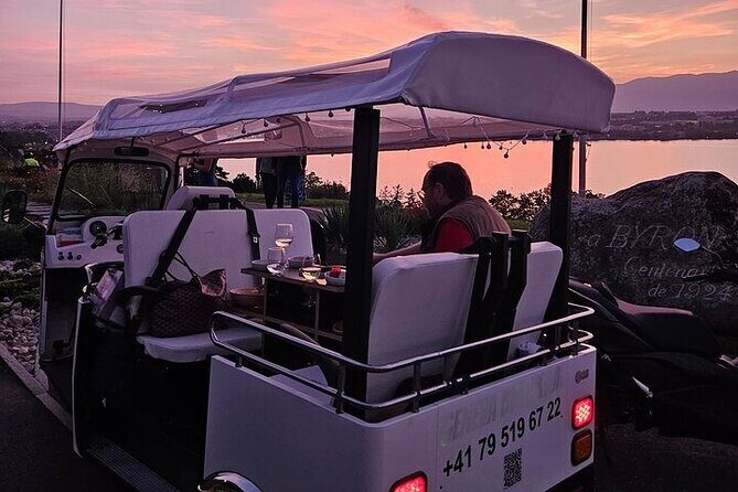 Geneva: Sightseeing of top Places Tour Electric TukTuk 1H15 tour - An In-Depth Look at the Itinerary