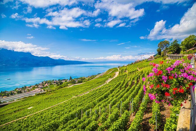 Geneva to Gruyère Private Day Trip. Cheese & Chocolate Tour - In-Depth Review: The Experience