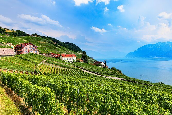 Geneva to Gruyère Private Day Trip. Cheese & Chocolate Tour - Final Thoughts