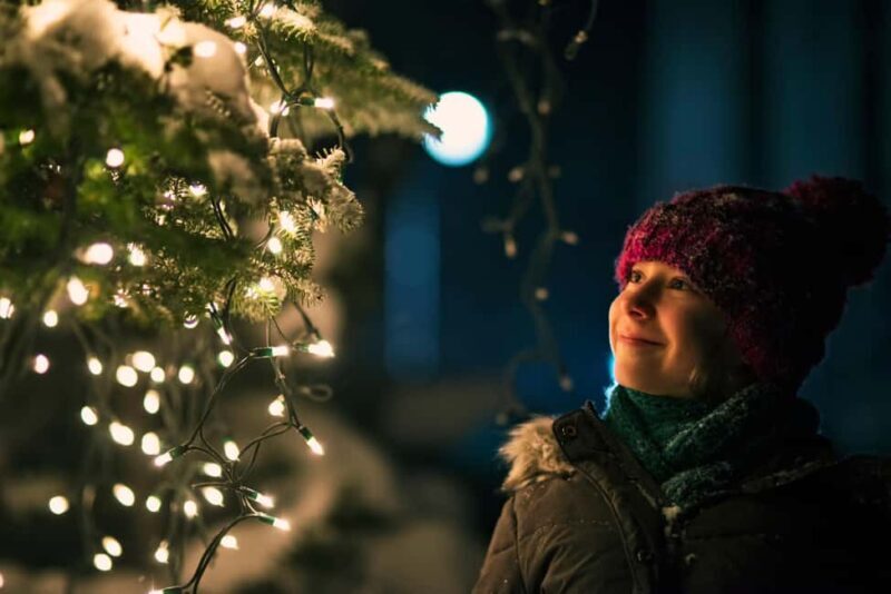 Genevas Winter Wonderland: A Festive Christmas Private Tour - Key Points