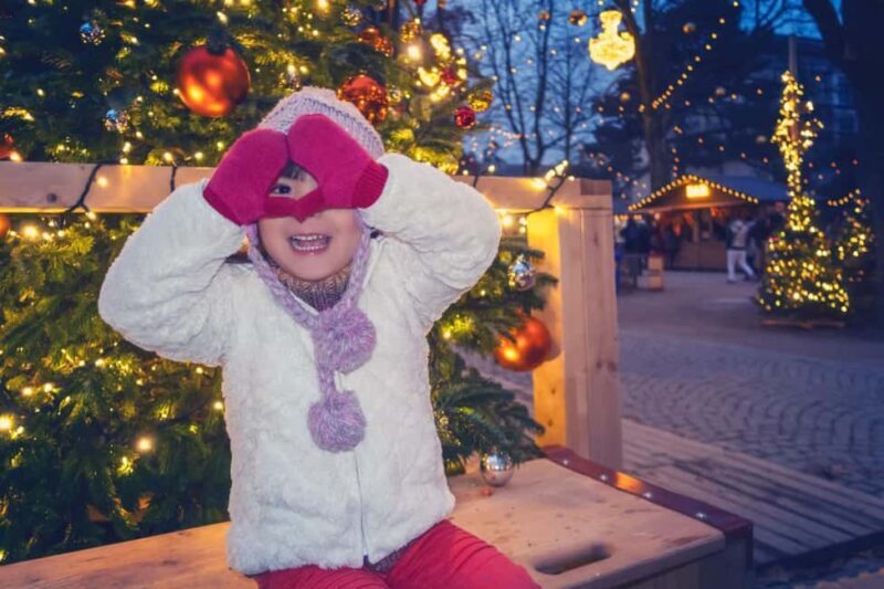 Genevas Winter Wonderland: A Festive Christmas Private Tour - A Close Look at Geneva’s Winter Wonderland Tour