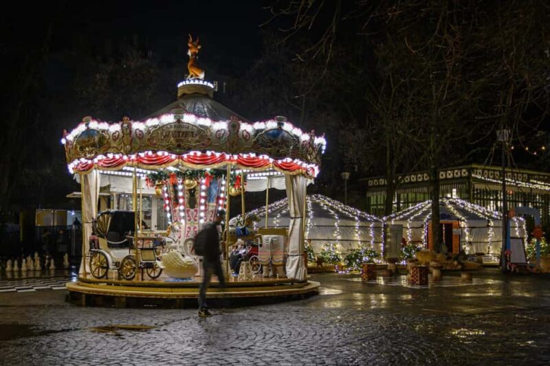 Genevas Winter Wonderland: A Festive Christmas Private Tour - Who Would Enjoy This Tour?