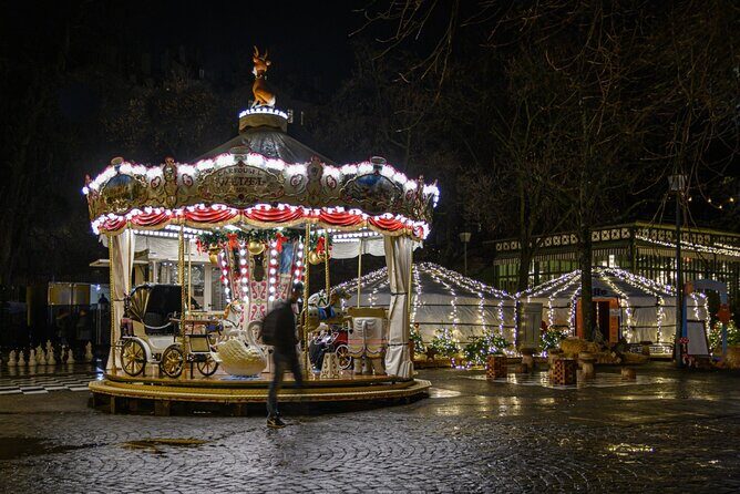 Genevas Winter Wonderland: A Festive Christmas Tour - Exploring Geneva’s Holiday Highlights in Depth