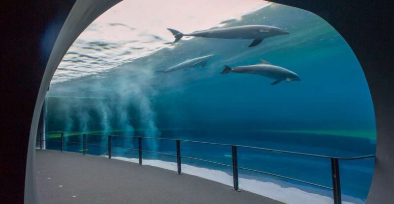 Genoa: Aquarium and FantaCinema Combined Ticket - Key Points