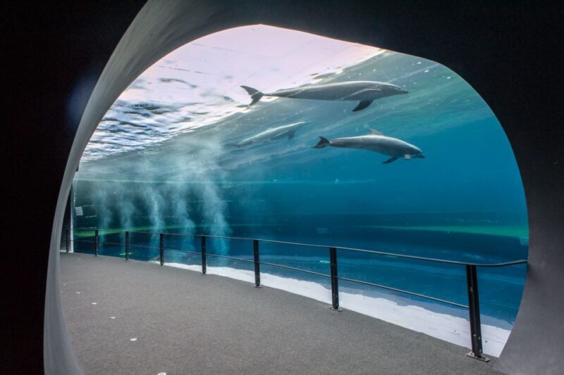 Genoa: Aquarium & Christopher Columbus' House Entry Tickets - A Closer Look at the Experience