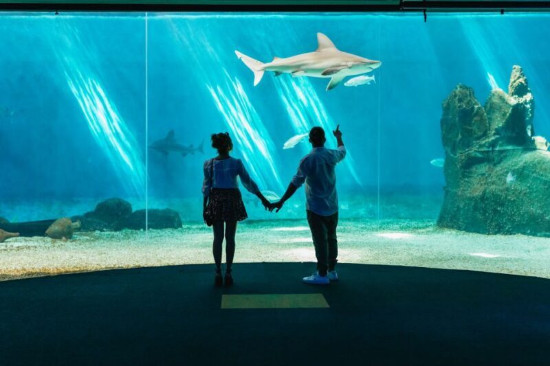 Genoa: Aquarium of Genoa Entry Ticket - Who Should Consider Visiting?