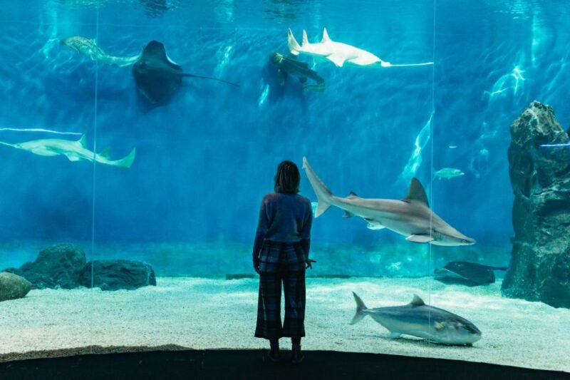 Genoa: Aquarium of Genoa with Lunch - Why This Tour Offers Good Value