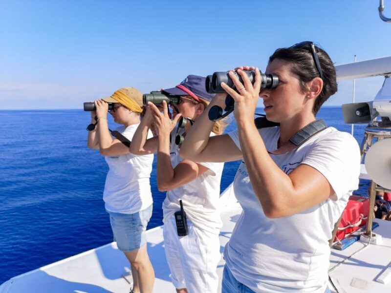 Genoa: Cetacean Watching Cruise with Marine Biologist Guide - Genoa: Cetacean Watching Cruise with Marine Biologist Guide