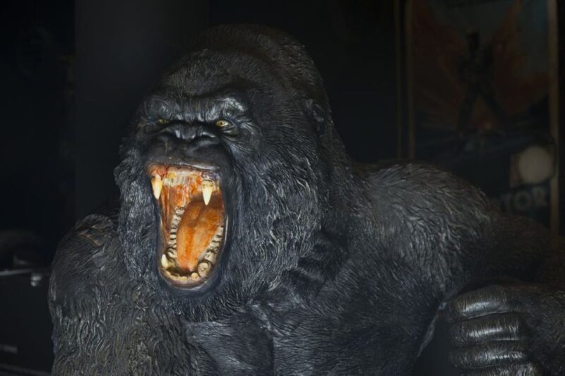 Genoa: FantaCinema Museum Entry Ticket - FAQs about the Genoa FantaCinema Museum