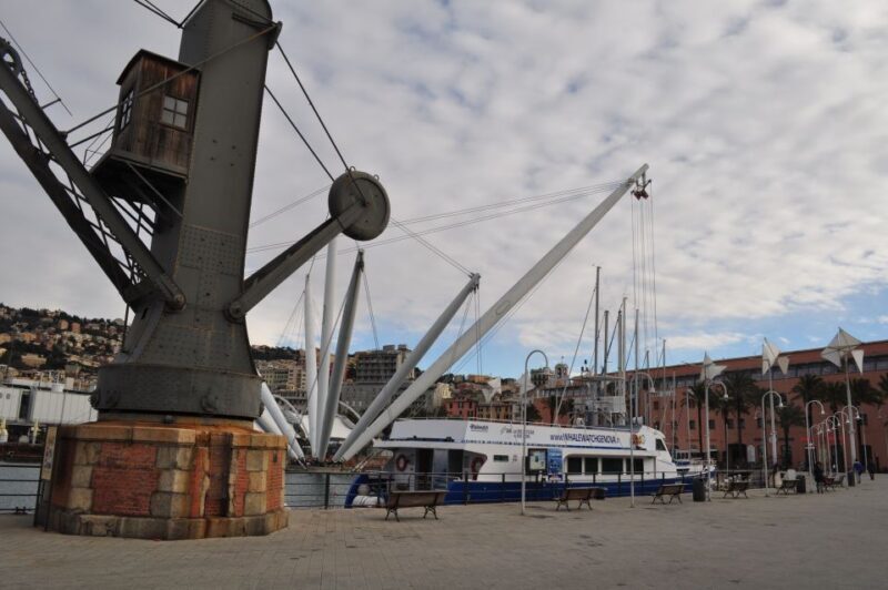 Genoa: Half-Day Tour to San Fruttuoso - The Experience: What to Expect