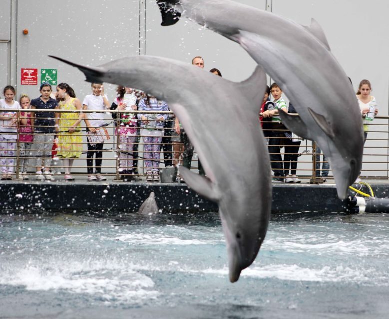 Genoa: World-Famous Aquarium and Lighthouse Combo Ticket - A detailed look at this Genoa combo experience