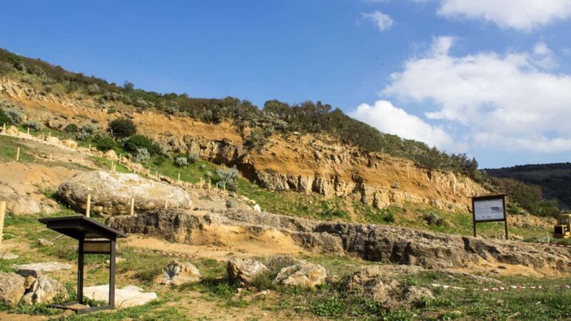 Genoni: discover the Giara Park - Who Should Consider This Tour?