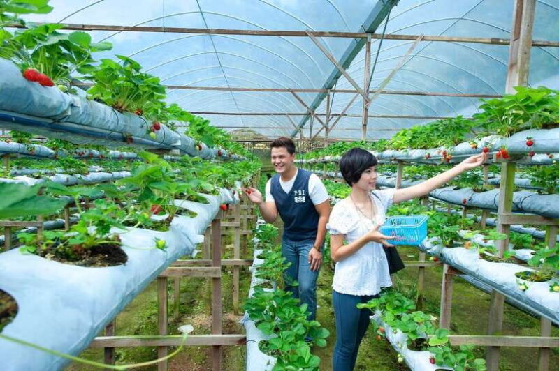 Genting Highland: Private Day Trip from Kuala Lumpur - FAQs