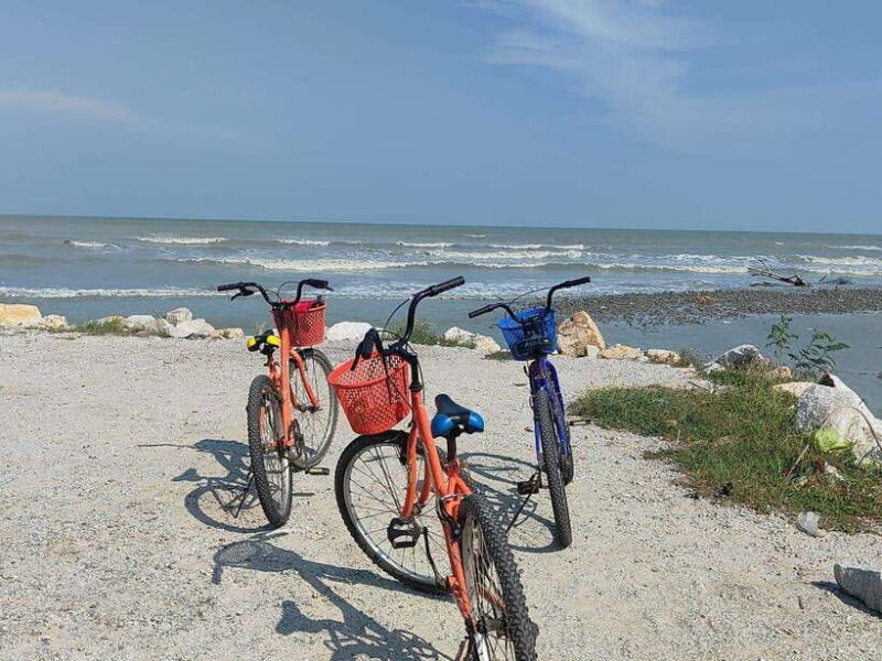 George Town: Balik Pulau Countryside Morning Cycling Tour - The Price and Its Value