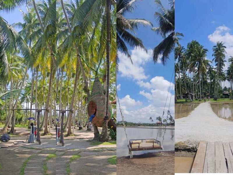 George Town: Penang Customizable Private Tour - Key Points