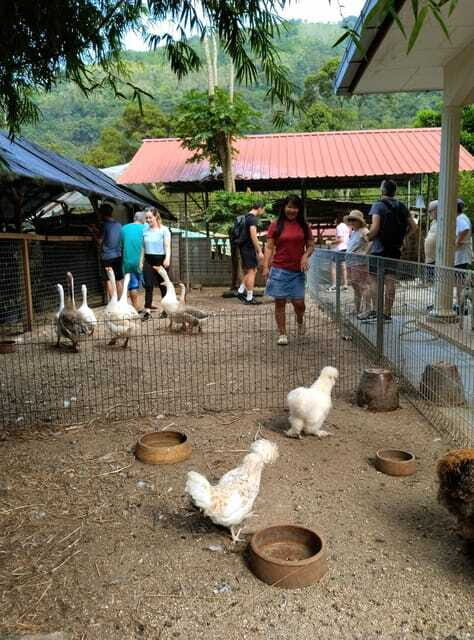 George Town, Penang: Malay Countryside Cycling - Who Should Book This Tour?