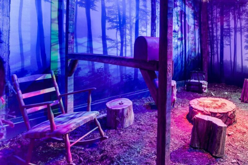 Georgetown, Washington DC: Escape Room Adventure - Introduction: A Different Kind of Tour in Georgetown