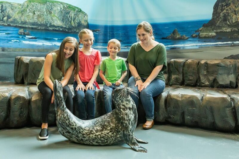 Georgia Aquarium: Sea Lion Encounter - Key Points