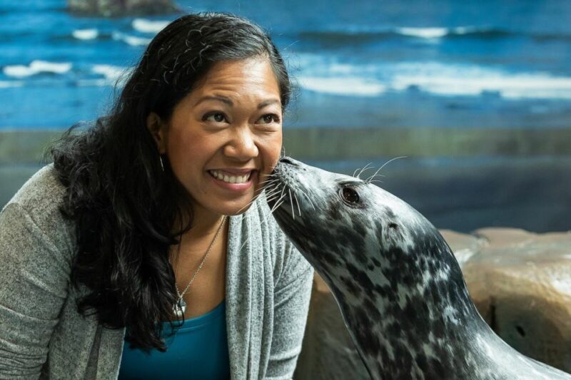 Georgia Aquarium: Sea Lion Encounter - An In-Depth Look at the Georgia Aquarium: Sea Lion Encounter