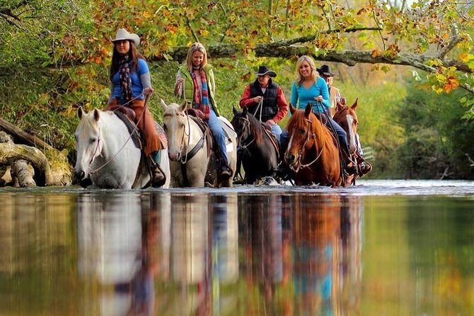 Georgia Horseback Ride with Wine Tasting - A Primer on Georgia Horseback Ride with Wine Tasting