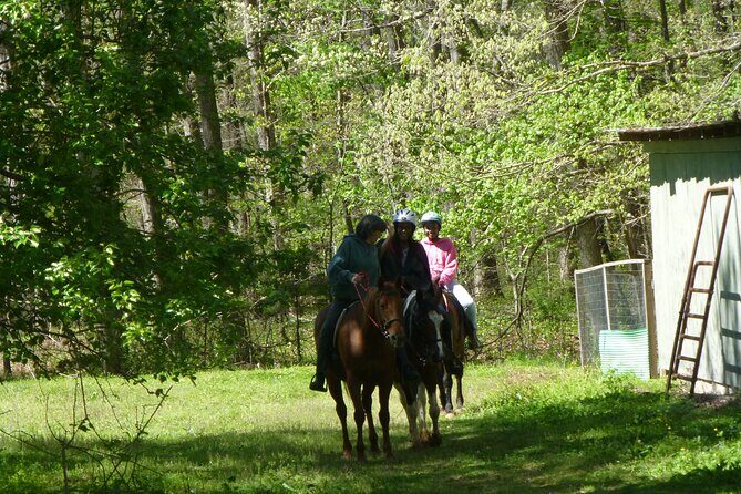 Georgia Horseback Ride with Wine Tasting - Practical Considerations for Travelers
