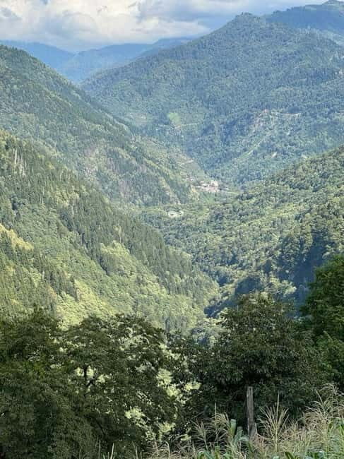 Georgia:Tbilisi, Batumi & batumi Private Tour with Guide - Who Will Love This Tour?