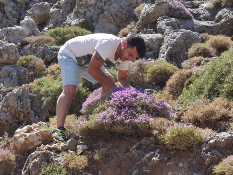 Georgioupolis Full-Day Land Rover Safari Experience - Introduction: An Authentic Crete Adventure with Land Rover Safari