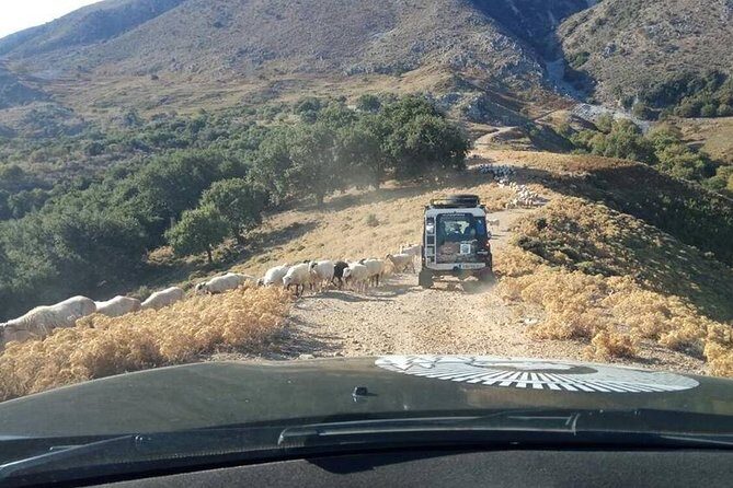 Georgioupolis Safari Off Road Tours Outdoor Activities Land Rover Defender - Frequently Asked Questions