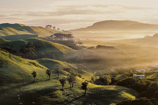 Geothermal & Nature Full Day Private Tour : Rotorua & Taupo - Final Thoughts: Who Is This Tour Perfect For?