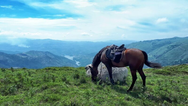 Gerês Braga: Horseback Ride in Peneda Gerês National Park - Exploring the Peneda-Gerês Horseback Experience