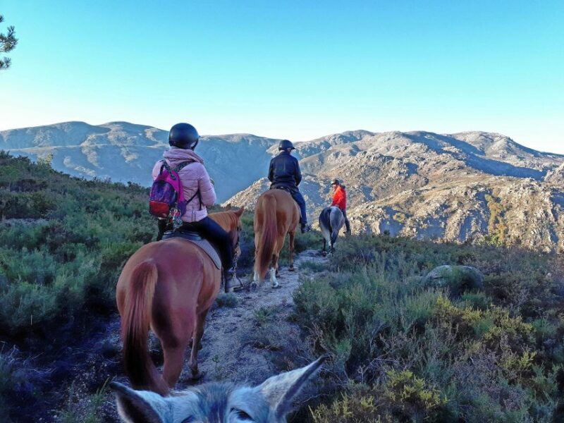 Gerês Braga: Horseback Ride in Peneda Gerês National Park - Authentic Experiences and Real Reviews