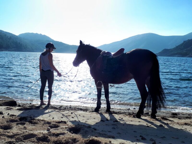 Gerês Braga: Horseback Ride in Peneda Gerês National Park - Practical Tips for Your Ride