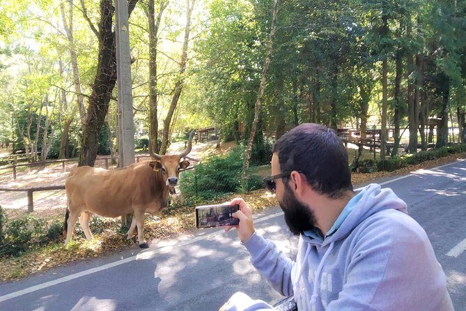 Gerês Private Tour (All Inclusive) - Transportation and Timing