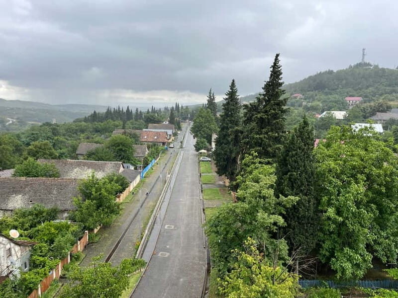 German village in Georgia (Elisabethal) & Wine tasting - Practical Details: What You Need to Know