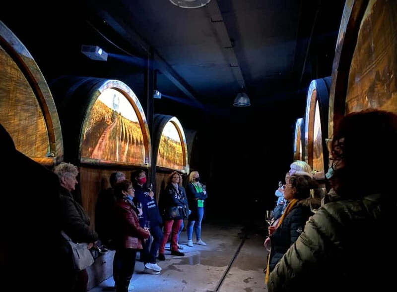 Gertwiller: Alsace Cellar Tour, Wine Tasting & Picnic Basket - A Deep Dive into the Experience