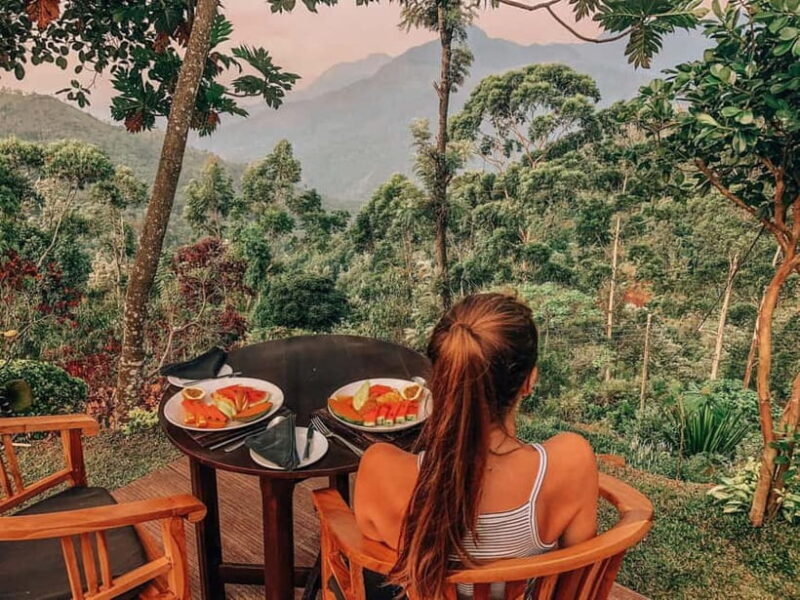 Get a private driver for day tours around Sri Lanka - A Deep Dive into the Itinerary and Experience