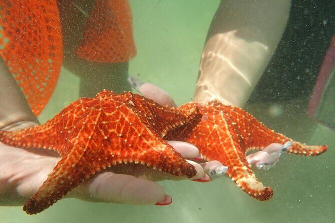 Get Anchored - Who Should Book This Tour?