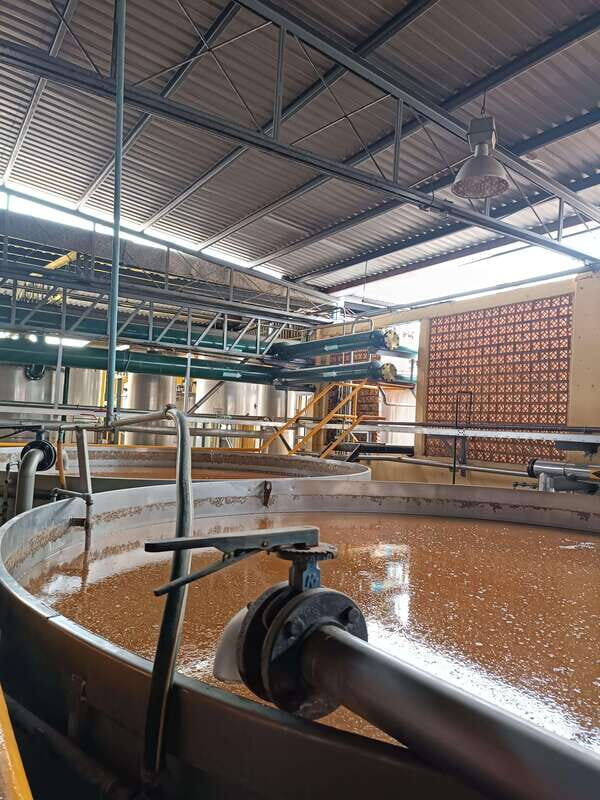 Get on Chile: know everything about tequila in "La Rienda" - A Closer Look at the Tour Experience
