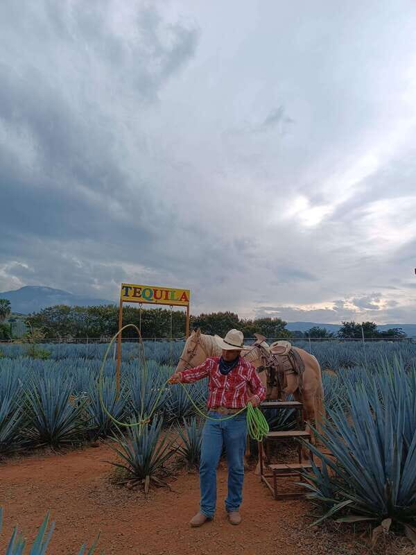 Get on Chile: know everything about tequila in "La Rienda" - Authenticity and Unique Experiences