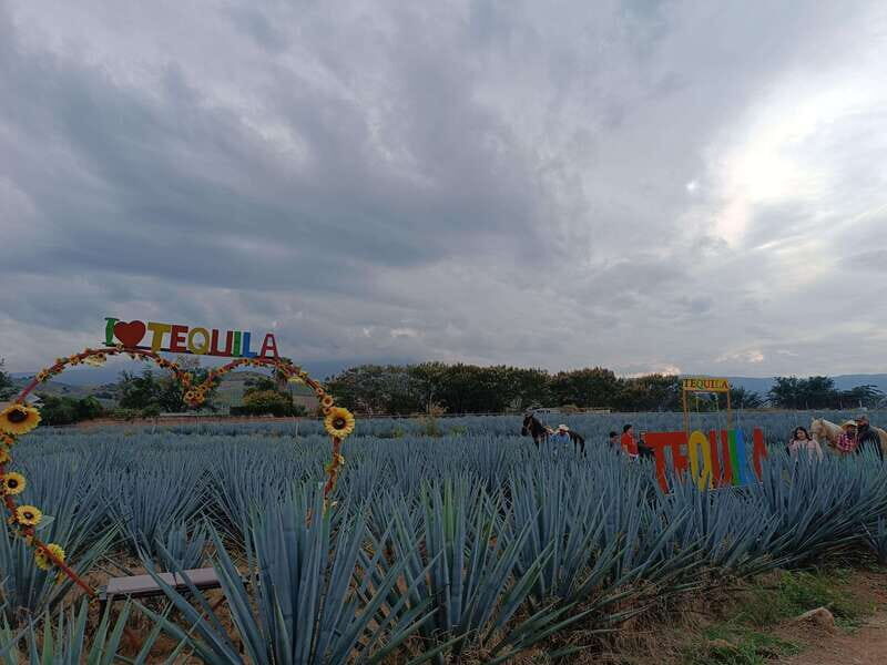 Get on Chile: know everything about tequila in "La Rienda" - FAQs