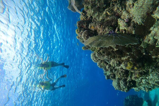 Get to know heaven on earth with Chivis del mar private - Final Thoughts