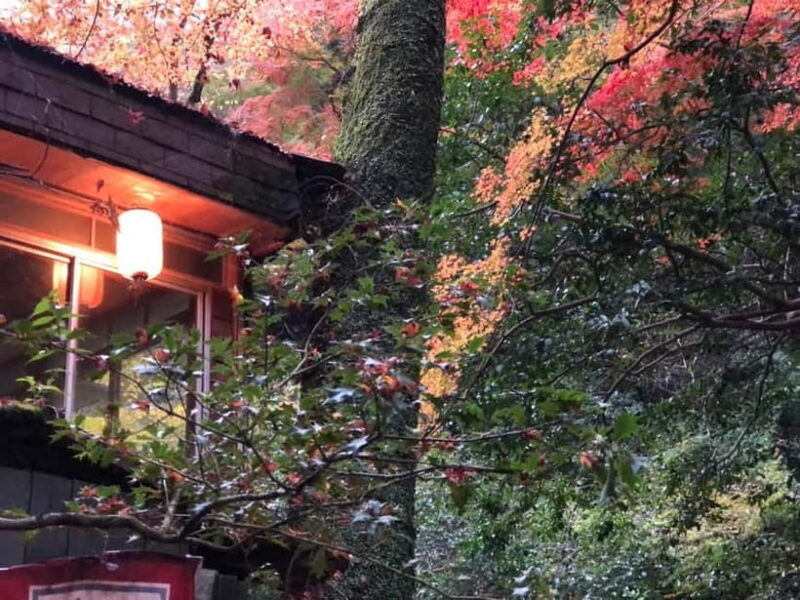 Get to know Minoo from Osaka. Katsuoji Temple, Ryuanji Waterfall and Ryuanji Temple - FAQ