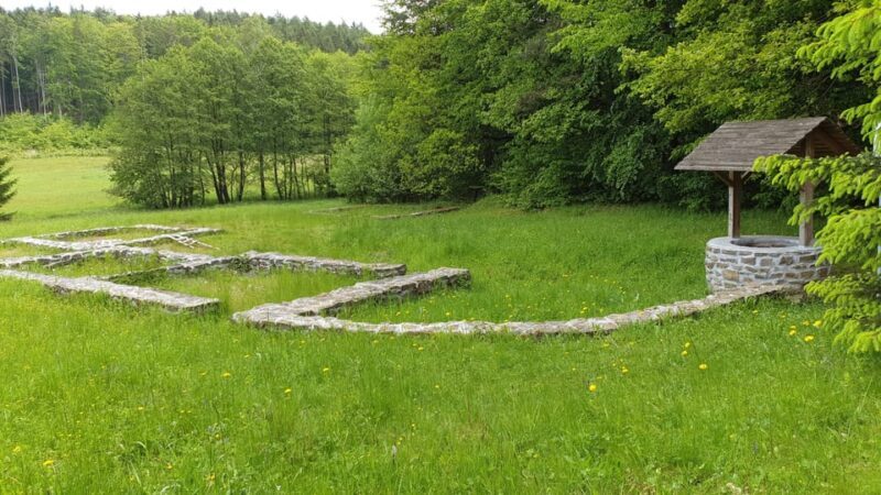 Get to know South Moravia with us. 6 hour tour. - Practical Aspects and Logistics