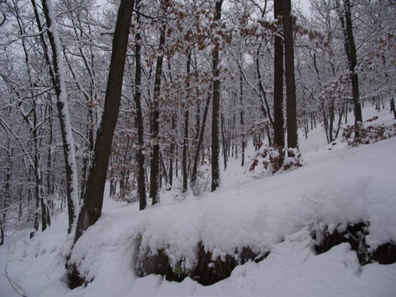 Get to know South Moravia with us. 6 hour tour. - Final Thoughts