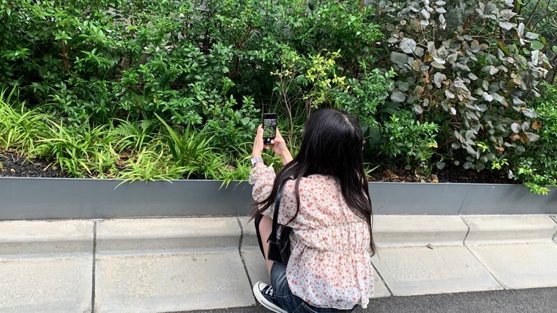 Get your photos instantly! Smartphone Photography Experience (Osaka) - Photos on your phone, ready at the end