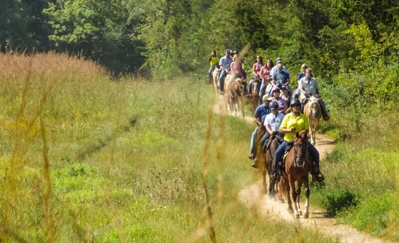 Gettysburg: Licensed Guided Battlefield Horseback Tour - An Honest Look at the Gettysburg Horseback Tour
