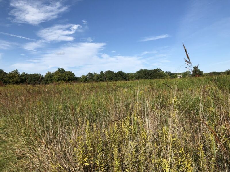 Gettysburg: The Wonder Women's Hidden Valor Walking Tour - The Experience in Detail