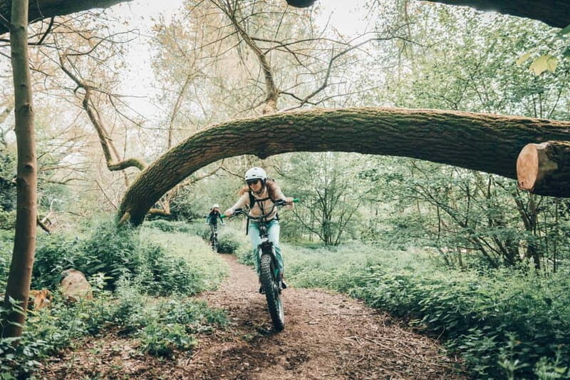 Ghent: Green Snake E-Step Tour with Local Guide - Final Thoughts