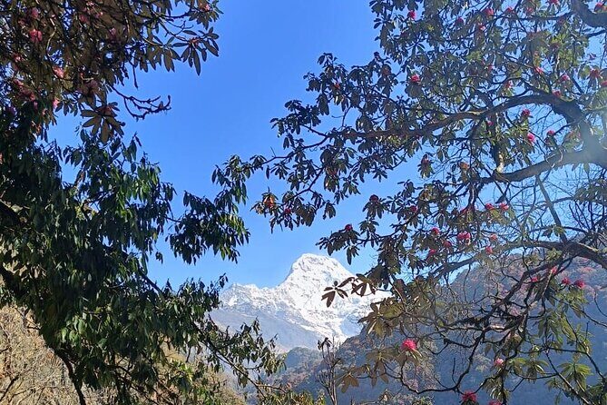 Ghorepani Poon Hill Trek: 12-Day Journey in Annapurna - What Makes This Trek Stand Out?